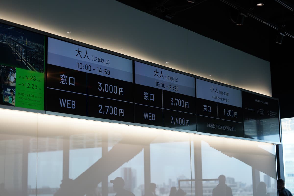 Daytime panoramic view from Shibuya Sky rooftop